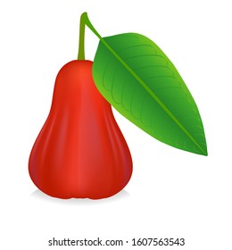 Rose apple with green leaf isolated on white background.