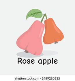 Ilustración dibujada a mano de la manzana rosa sobre fondo blanco