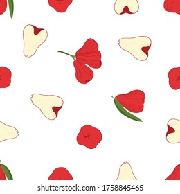Rose apple on  white background. Hand drawn texture. Stock vector illustration.