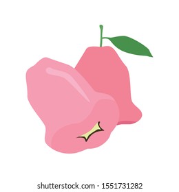 Rose apple simple vector isolated object. Passion fruit logo. Healthy food.Vector illustration