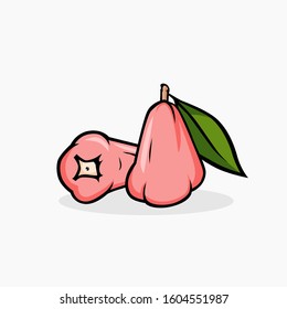 Rose apple vector illustration isolated for all purpose