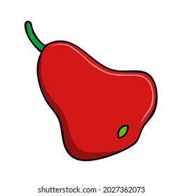 rose apple vector illustration,isolated on white background,top view