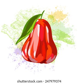Rose apple/chomphu