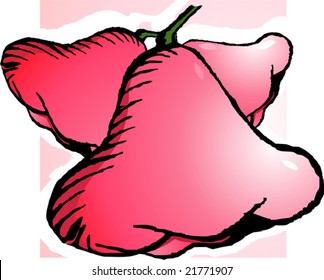  rose apples found in India	