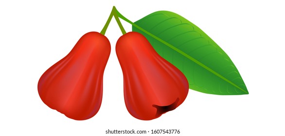 Rose apples with leaf isolated on white background.