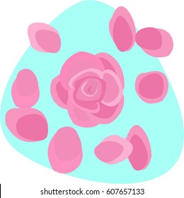 Rose aroma. Pink rose petals and flower on pale green background. Isolated.