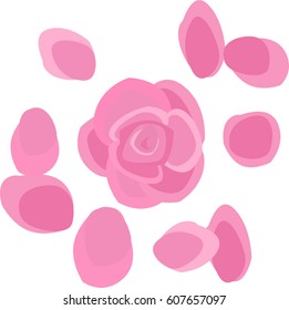 Rose aroma. Pink rose petals. Isolated. On blue background.