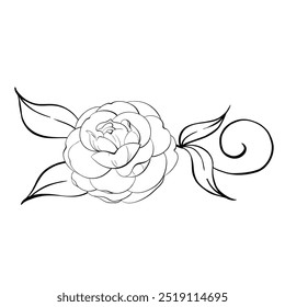 Rose arrangement. Pattern of romantic springtime flower with leaves, vintage style. Graphic vector line, hand drawn, black silhouette for cricut. For design, logo, postcards, wedding, textile