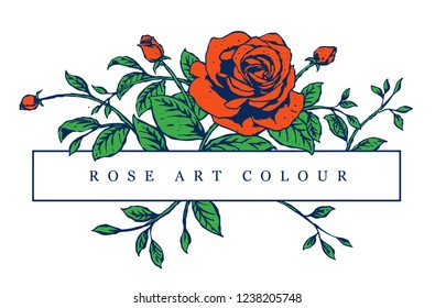 rose art colour 8