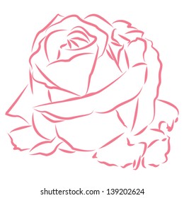Rose background