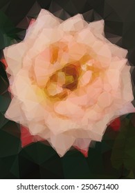 rose background