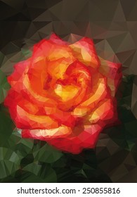 rose background