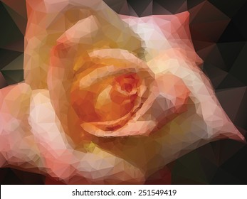 rose background