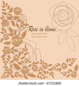 Rose background