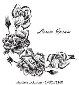 Rose background frame, Lorem Ipsum. Flowers stroke monochrome hand drawn ink sketch for web, for print