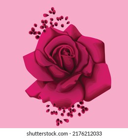 Rose for background greeting cards and invitations of the wedding, birthday