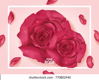 Rose banner vector illustration