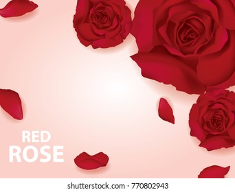 Rose banner vector illustration