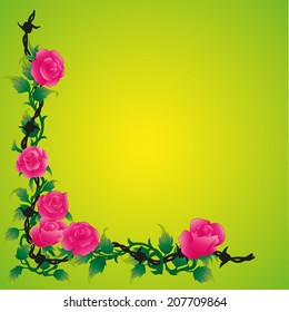Rose And Barbed Wire Frame