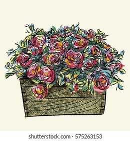 Rose basket sketchbook style.