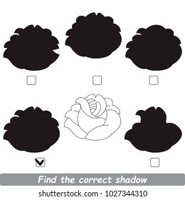 Rose Beautiful Shadow Set to Find the Correct Shadow, the Matching Educational Kid Game to Compare and Connect Objects and Their True Shadows, Simple Gaming Level for Preschool Kids.