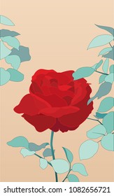 Rose Beauty Secrets
