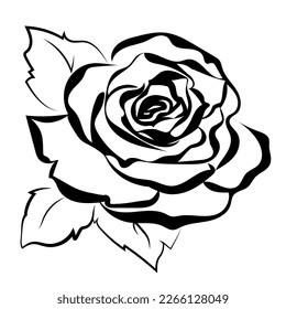 Rose as black line sketch drawing for design elements for greeting card  invitation  wedding  invitation  love  valentine's day  mother's day  women's day