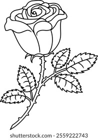 Rose Black Outline, Vector Illustration. A Single Rose With Leaves And Stem.