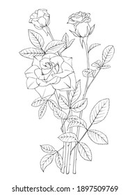 Rose black and white drawing line art. Vector tattoo