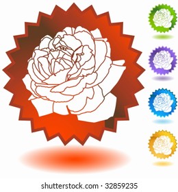 Marca Rose Bloom