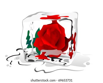 Rose bloom frozen in ice cube
