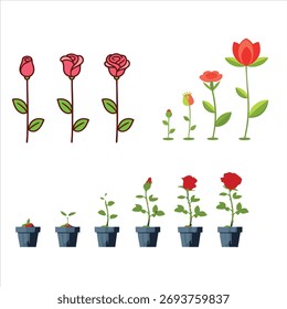 "Rose Bloom Stages Silhouette Bundle – 8 Types in Half and Full Bloom"