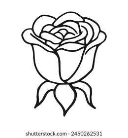 Rose blossom, buds. Hand drawn vector illustration in outline style.