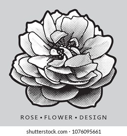 Rose blossom close up vector graphic image.
Detailed clip art illustration of flower isolated on gray background as floral design element for logo or template.
