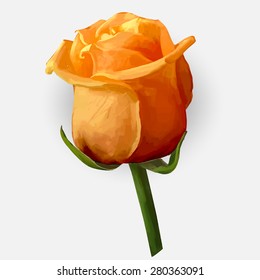 Rose blossoming bud isolated drawing vector illustration