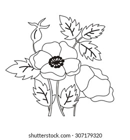 rose botanical card vector design
