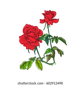 Rose bouquet. Vector illustration