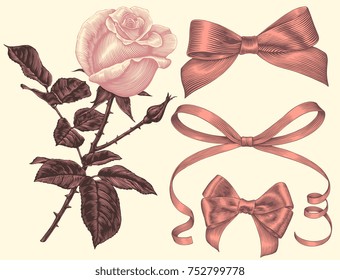 Rose and bow-knots. Design set. Hand drawn engraving. Vector vintage illustration. Isolated on light background. 8 EPS