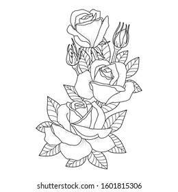 Rose branch on a white background. roses with leaves. Hand-drawn vector illustration.