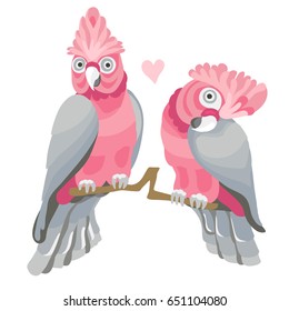 Rose Breasted Cockatoos / Pink parrot couple