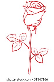 Rose bud