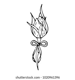 Rose Bud with bow vector illustration. Doodle style. Design, print, decor, textile, paper