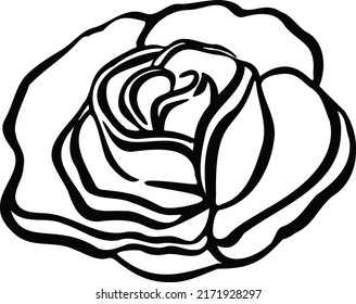 Rose, bud flower rose color blooming illustration vector