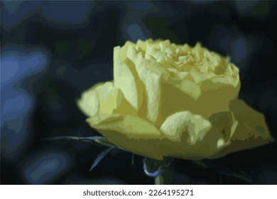 rose bud flower yellow color