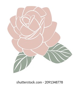 Rose bud on a white background. Vector illustration.
