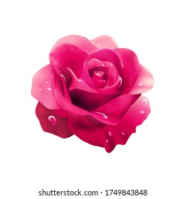 Rose. Bud. Flor rosa. Ilustración vectorial.