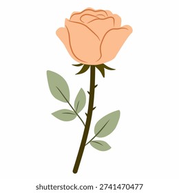 Rose bud stem in minimal flat style for decor theme. Great for branding, stationery, packaging, and floral design.