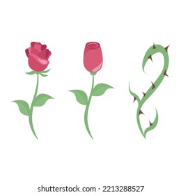 Rose, Rose Bud, And Thorn Vector Illustration Graphics