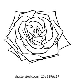 Bud de rosa, vista superior, aislado, de contorno líneas de pincel negro de diferente espesor en fondo blanco 