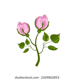 Rose bud. Vector graphics in watercolor style